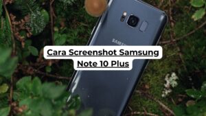 Cara Screenshot Samsung Note 10 Plus