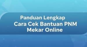 Panduan Lengkap Cara Cek Bantuan PNM Mekar Online